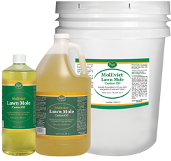 MolEvict Lawn Mole Castor Oil Products