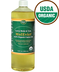 MolEvict Lawn Mole Castor Oil 5 gallon Pail