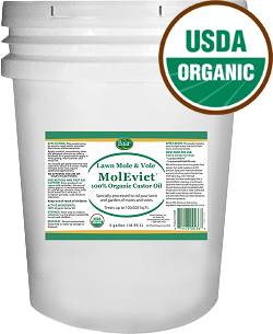 MolEvict Lawn Mole Castor Oil 5 gallon Pail